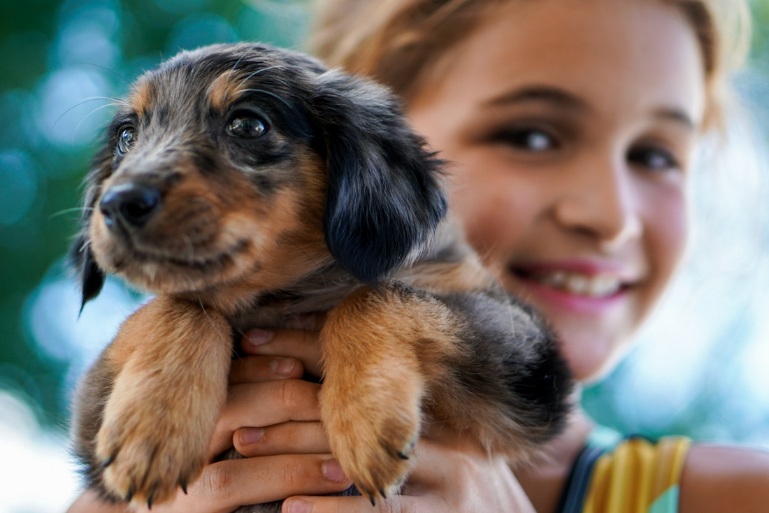 Cómo rescatar a un perrito cambió la vida de mi hijo para siempre
